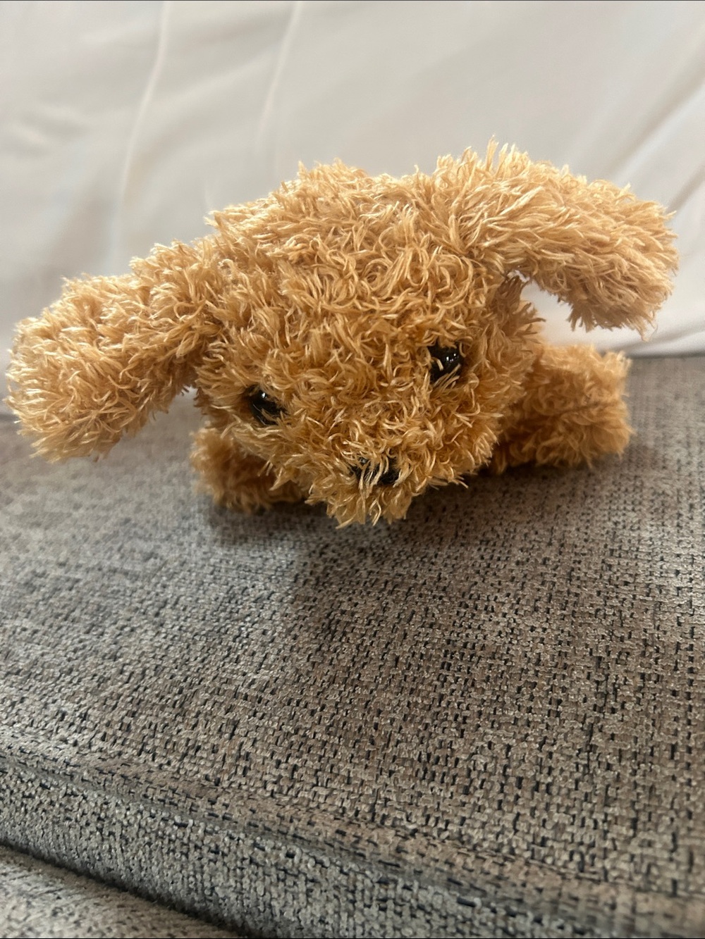 Curly Plush Brown Puppy Toy that Barks